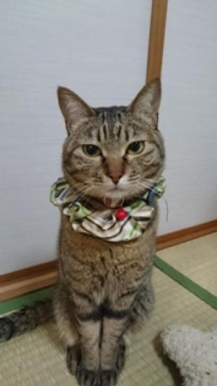 あこ