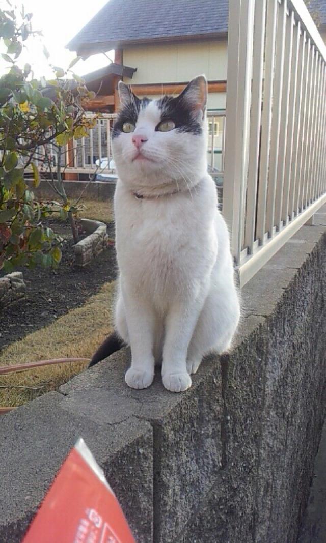 クー