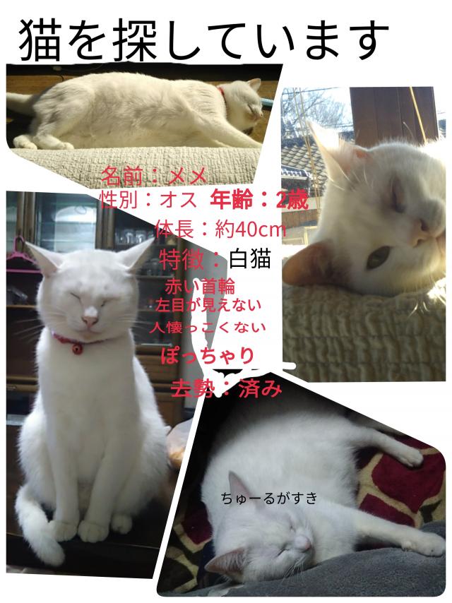 メメ