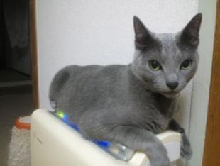 そら