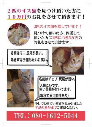 チェブとマニ