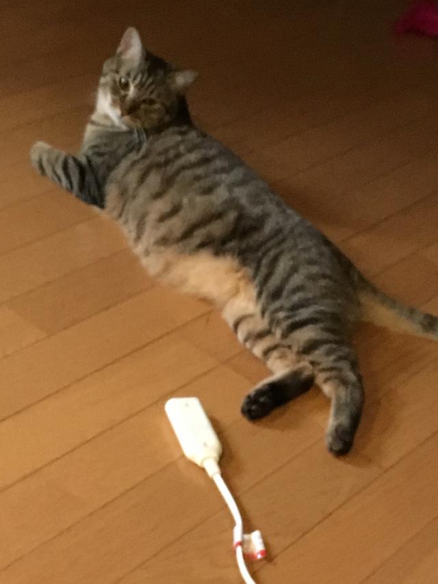 チュン太