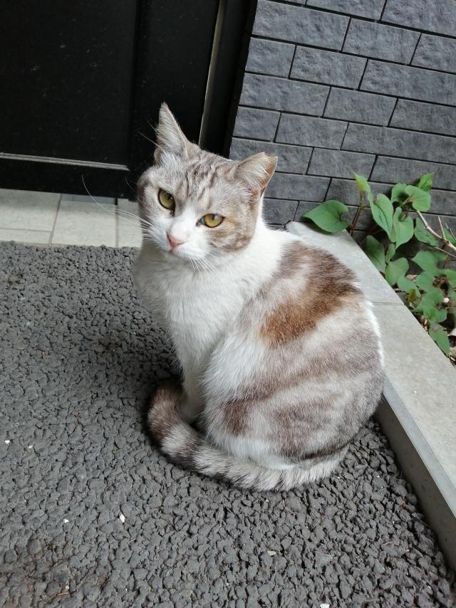ちぃ