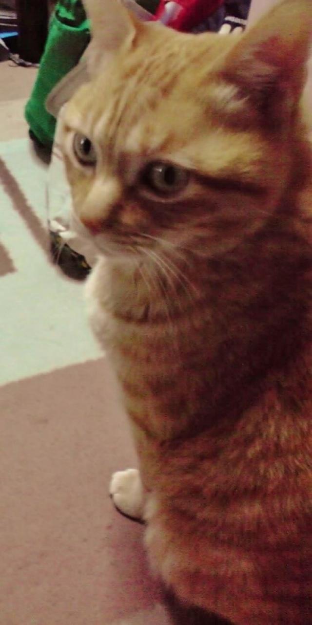 みあ