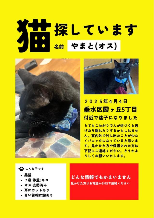 大和