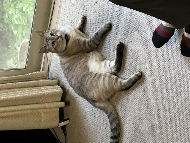 ミル