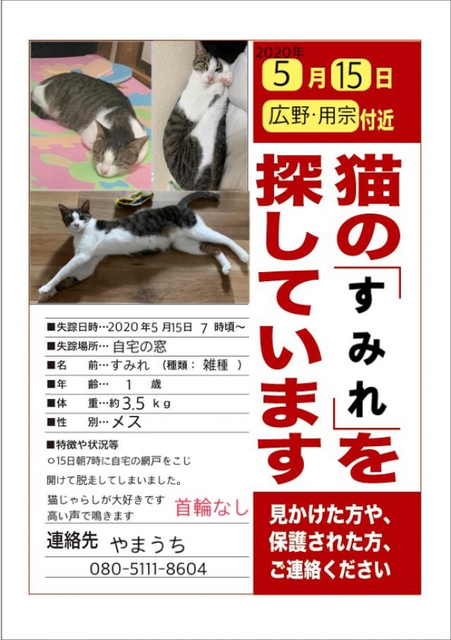 すみれ