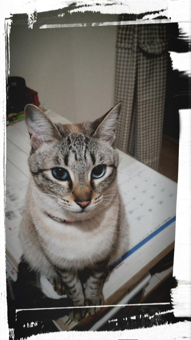 お市