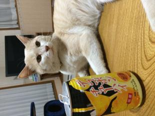 らん