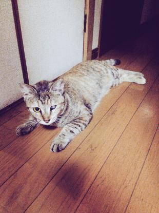 なな