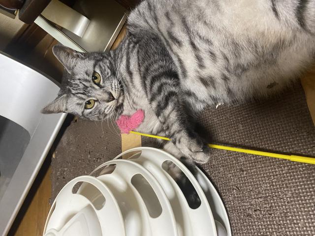 あーちゃん