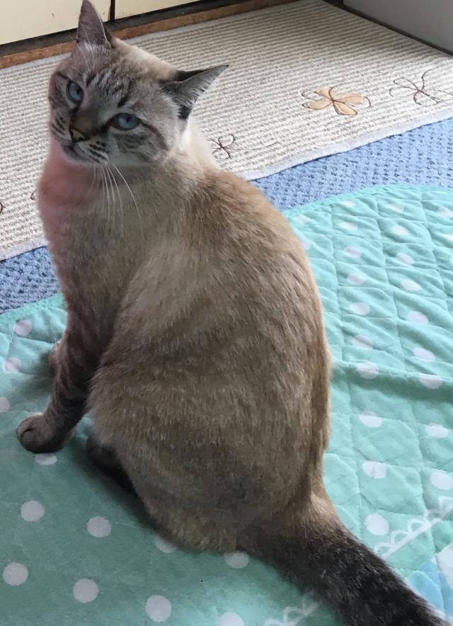 メル