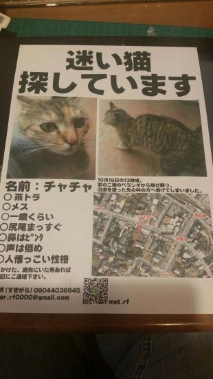 チャチャ