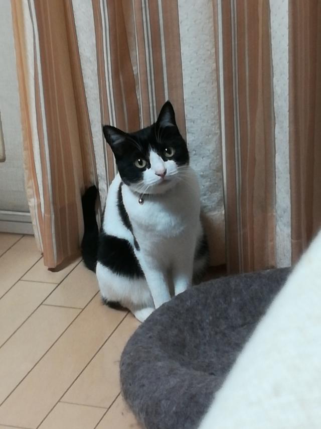 ルナ