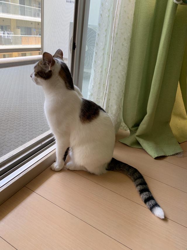 福