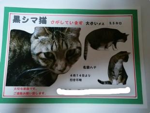 ハナ