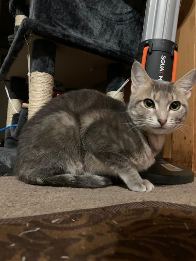 ルナ