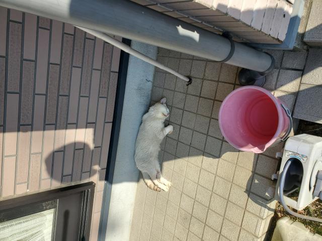ちーちゃん