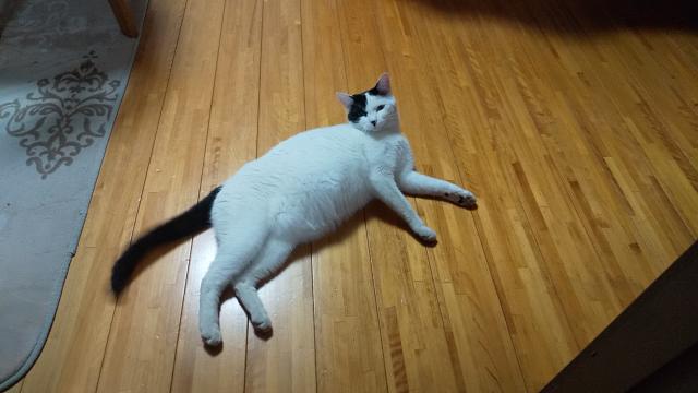 つむぎ