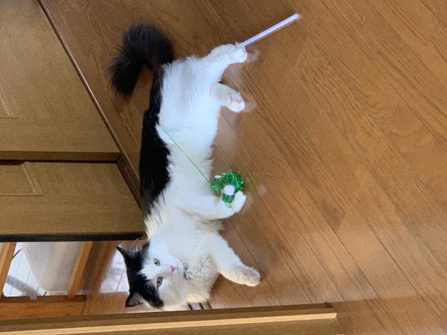 シュレム