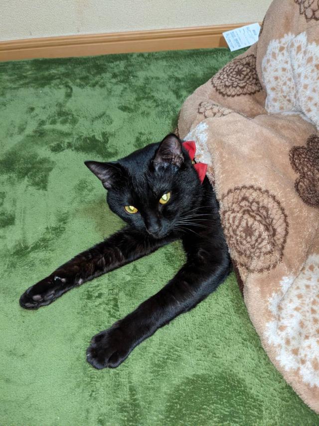 もいちゃん