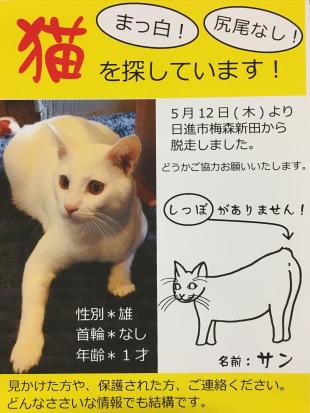 サン