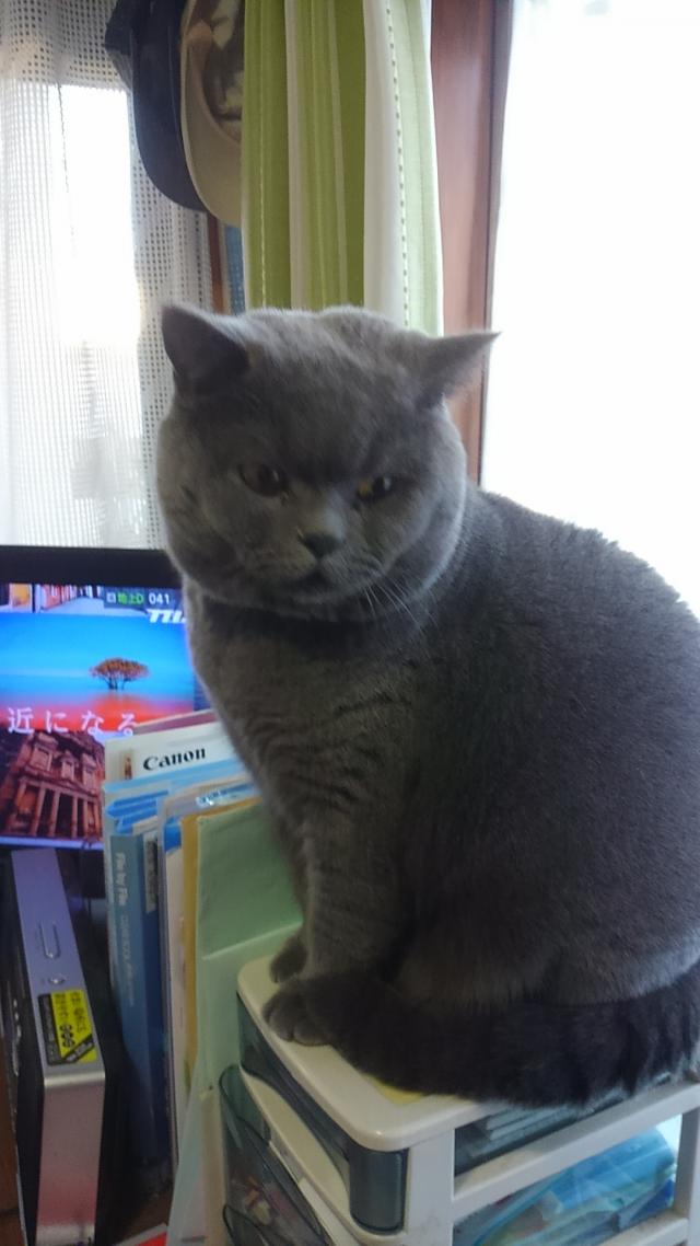 福太郎