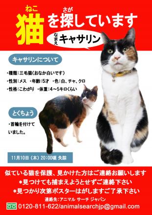 キャサリン