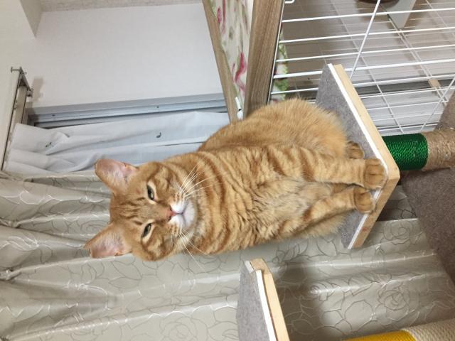 チャタロウ