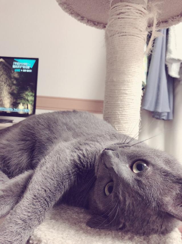 くーりん