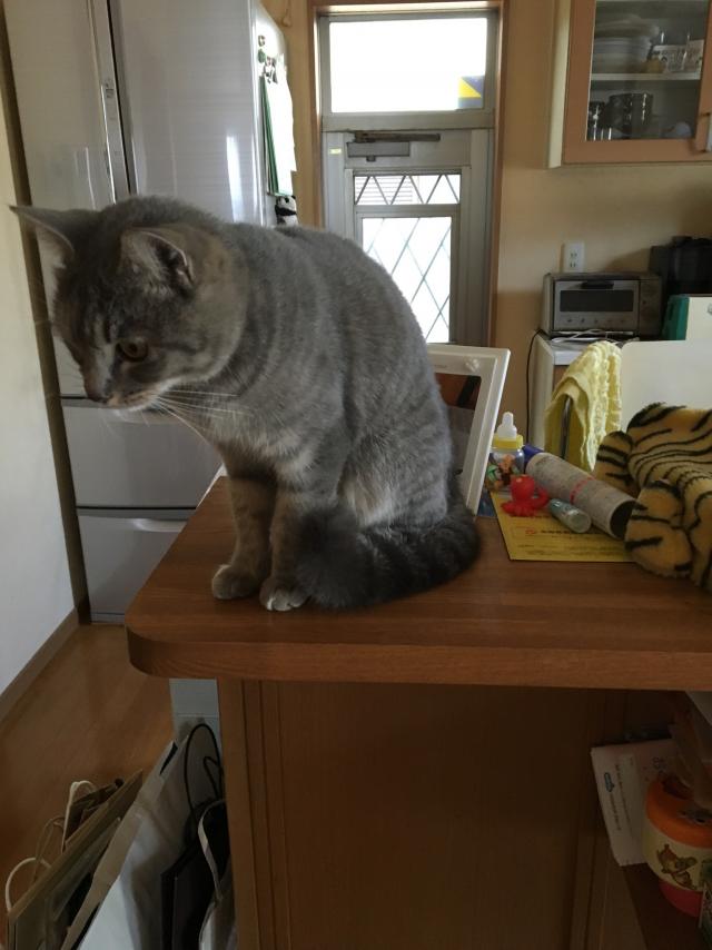 あずき