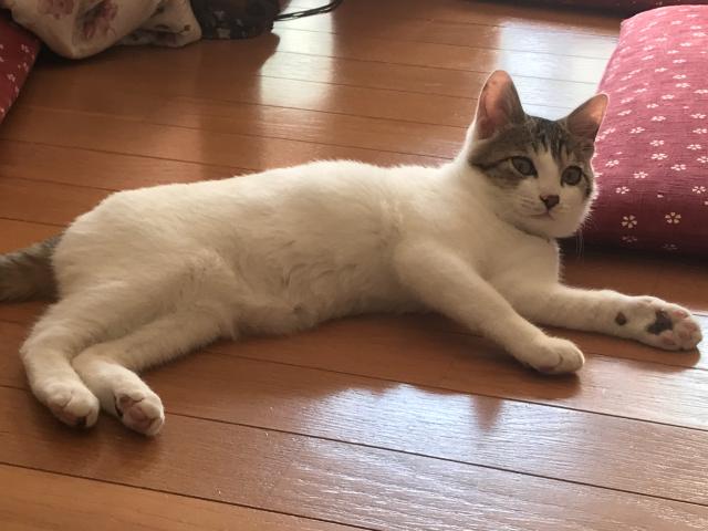 福