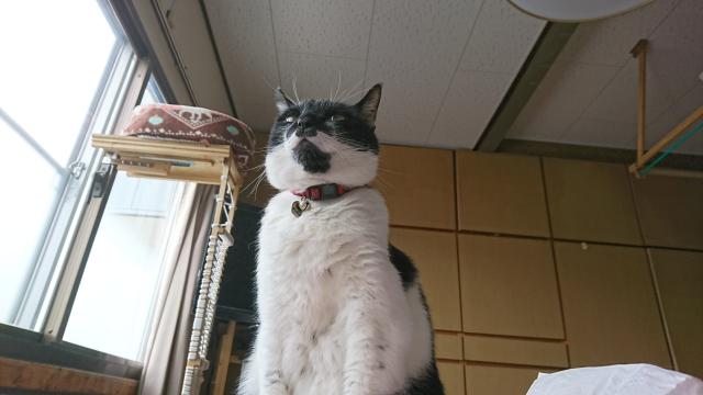 じる