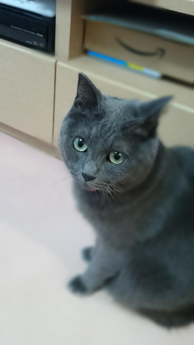 アズール
