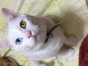 のんちゃん