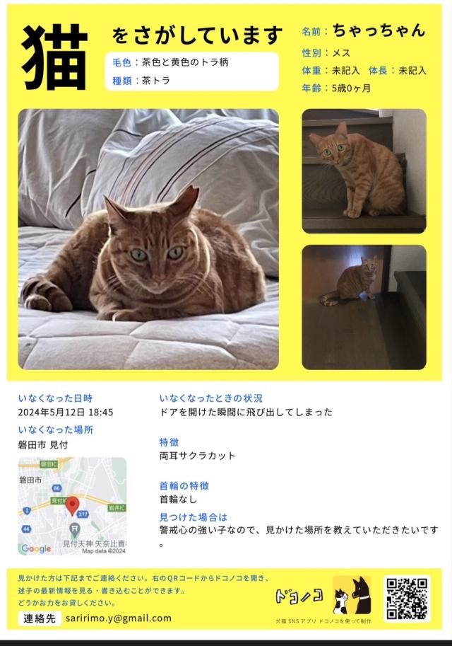ちゃっちゃん