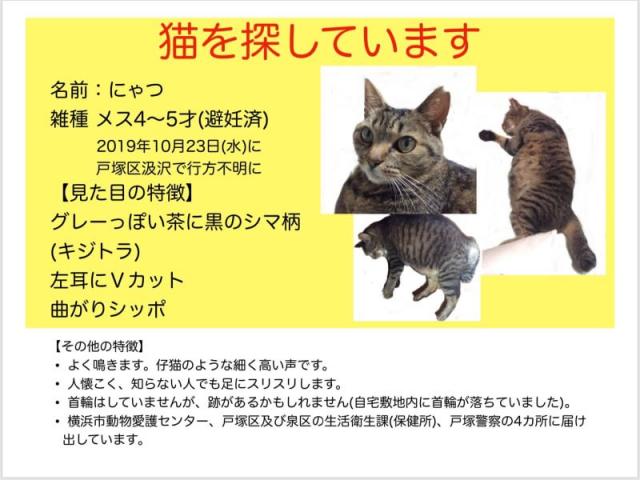 にゃつ/ねこ/ぬこ