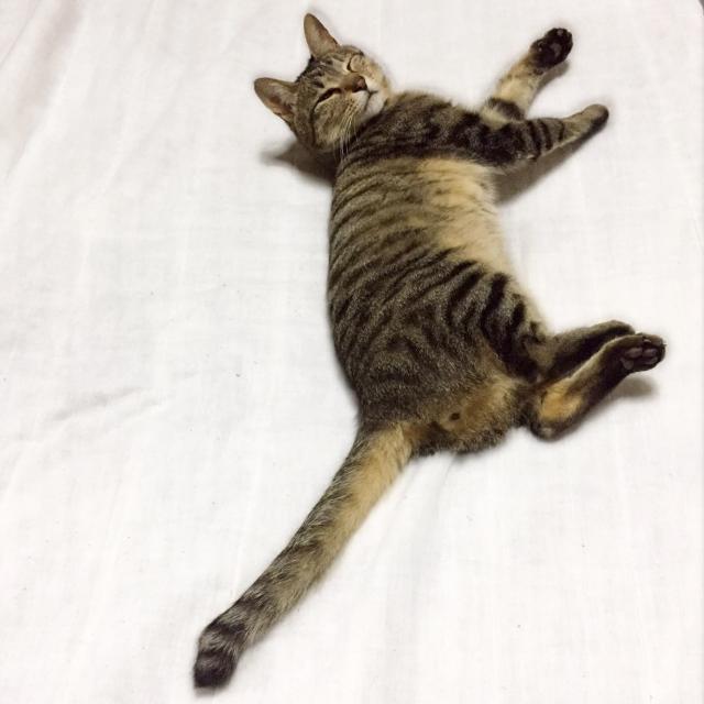 そら