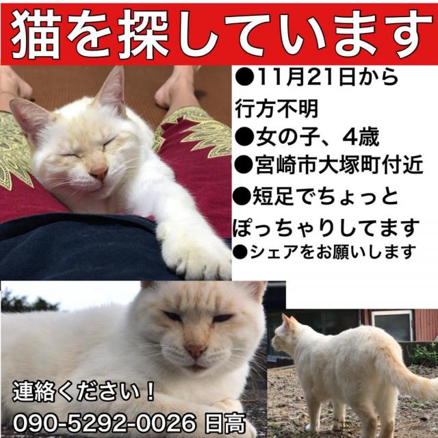 しろ
