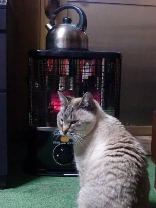 ハナ