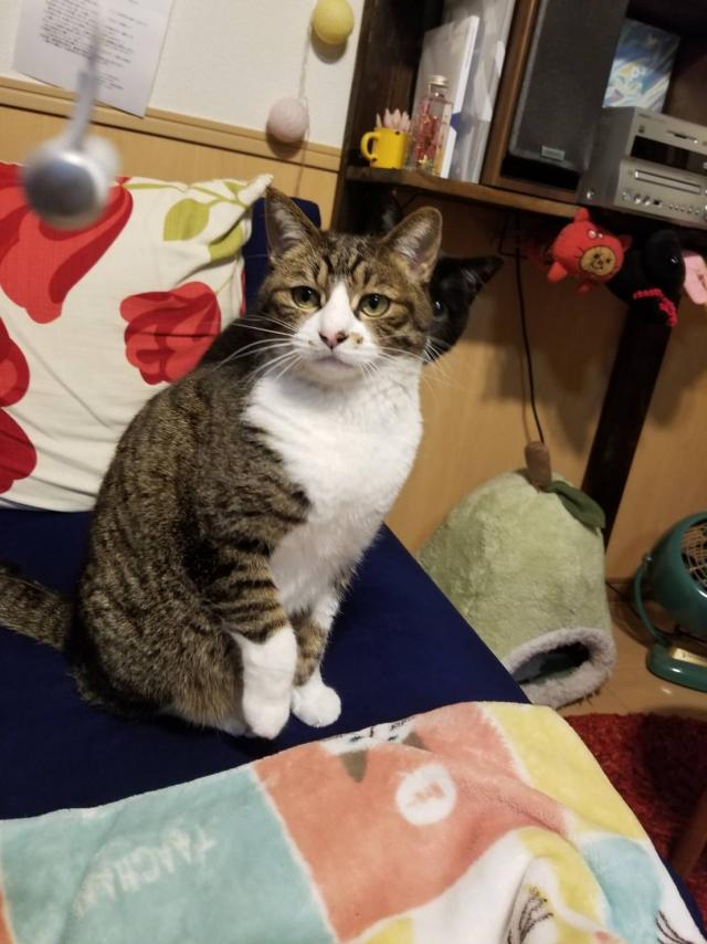 みーみ