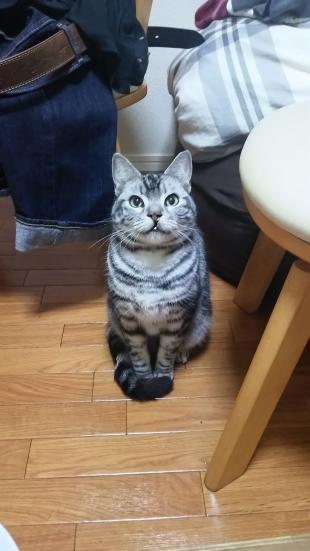 ソラ