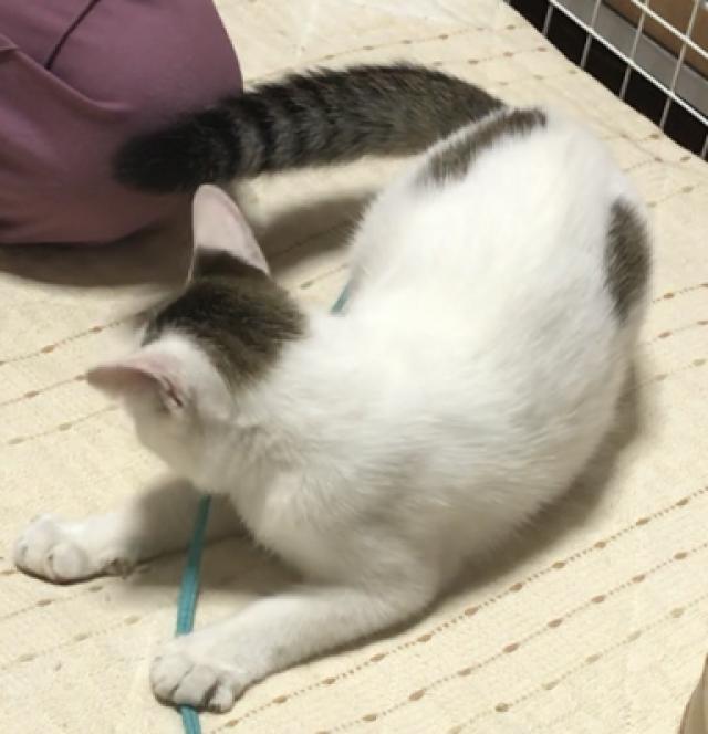 アト