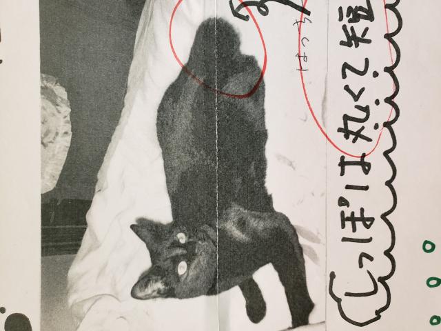 はっちー