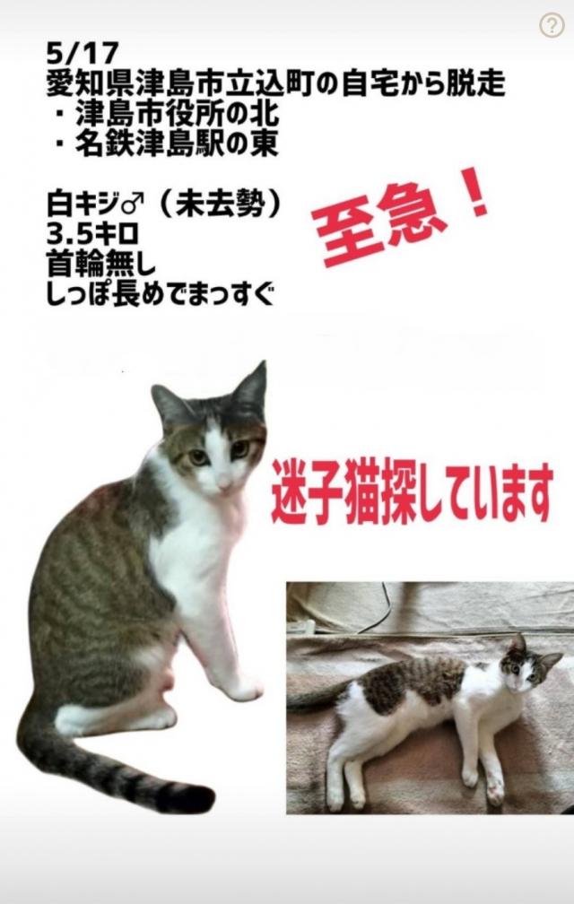 とーまる