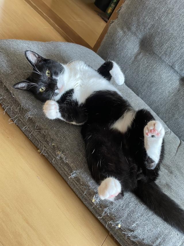 ゆらり