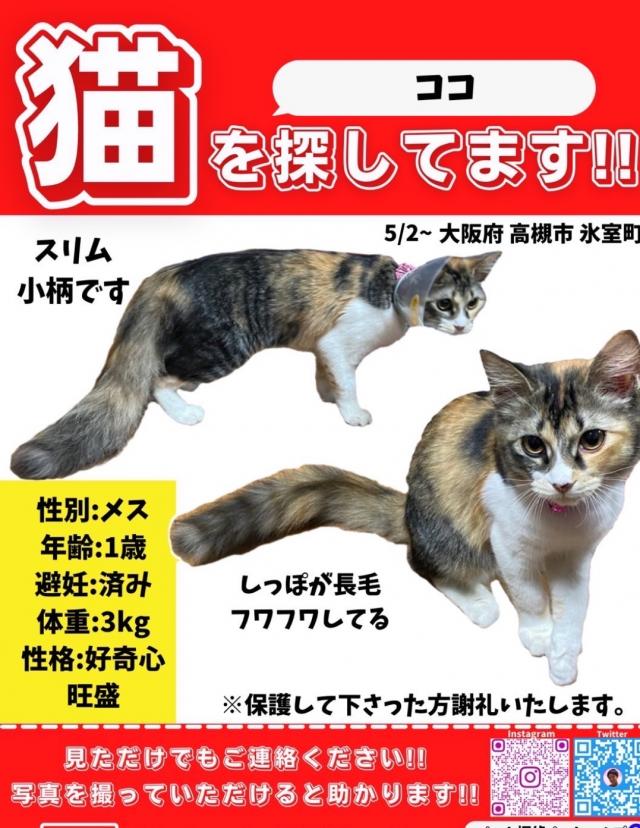ココ