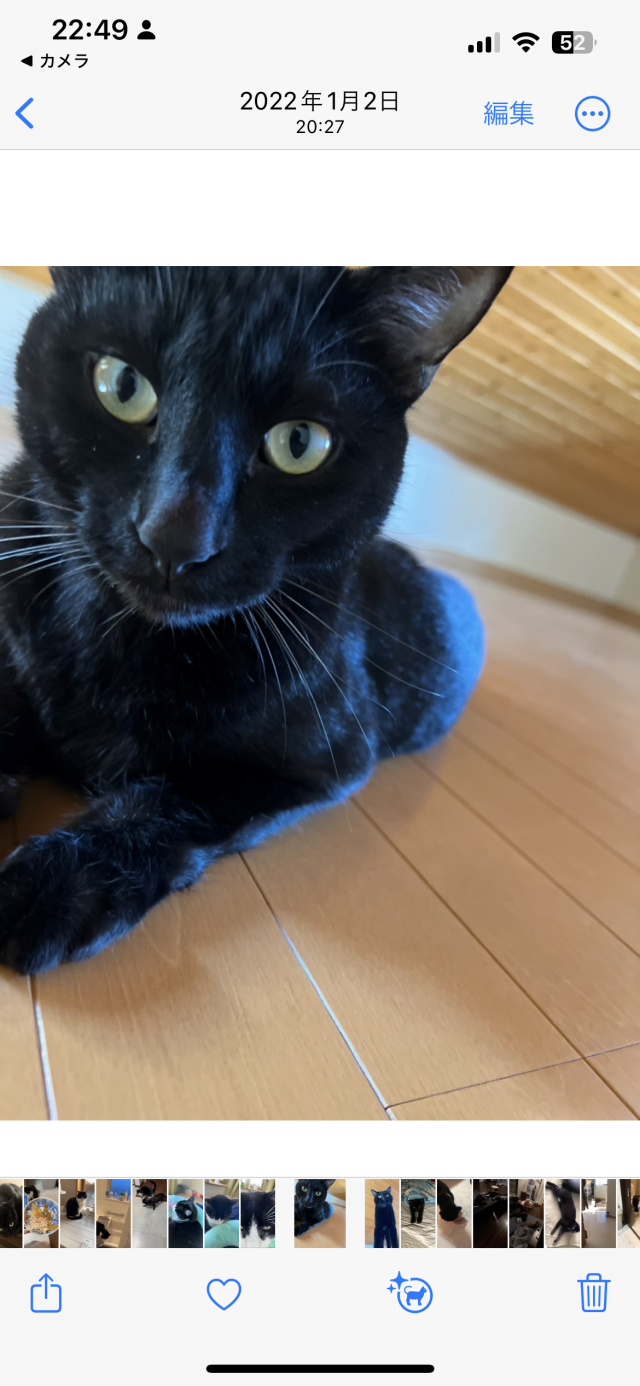 ぴっぴ