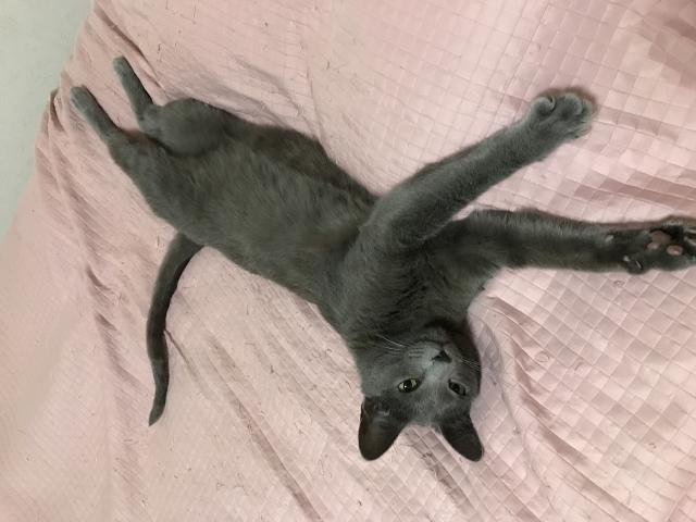 はる