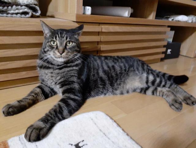 コナン